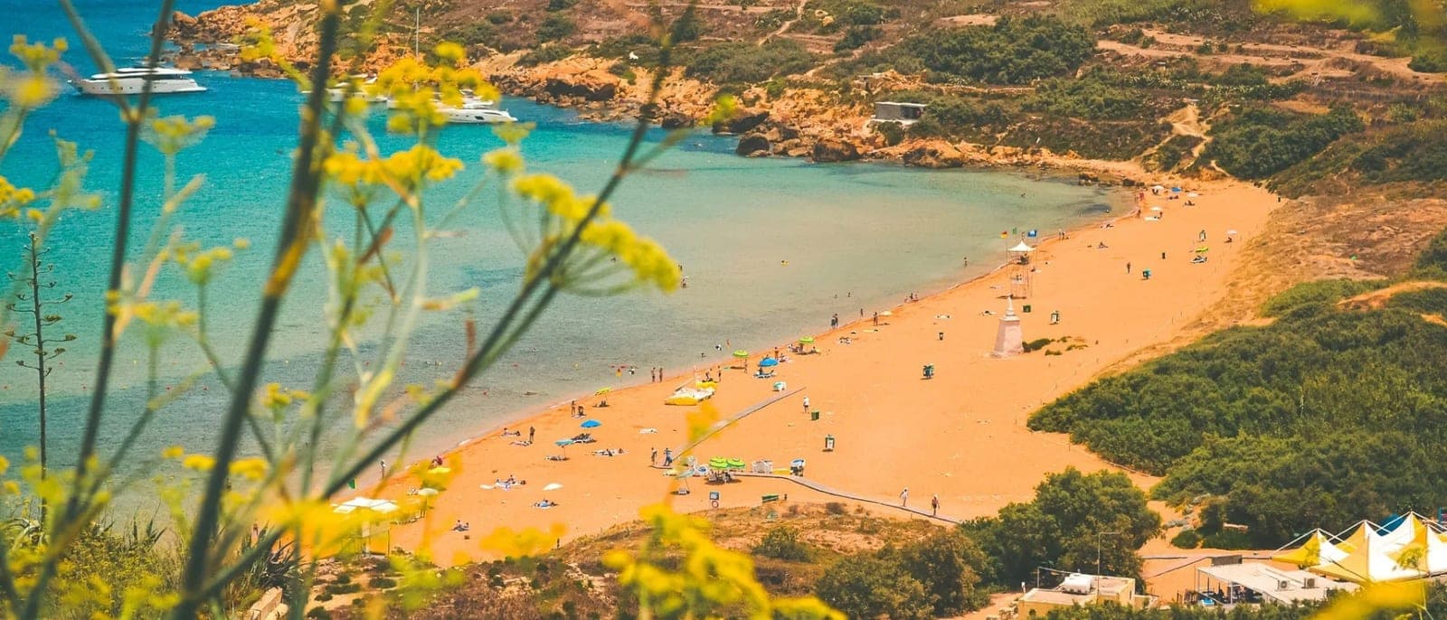 Ramla Bay desde la ladera de la cueva de Calipso, con hinojo amarillo en primer plano: la bahía entera de arena rojiza con poca gente, la estatua de la Virgen en la arena, el mar turquesa con dos yates fondeados y las terrazas de cultivo del otro lado